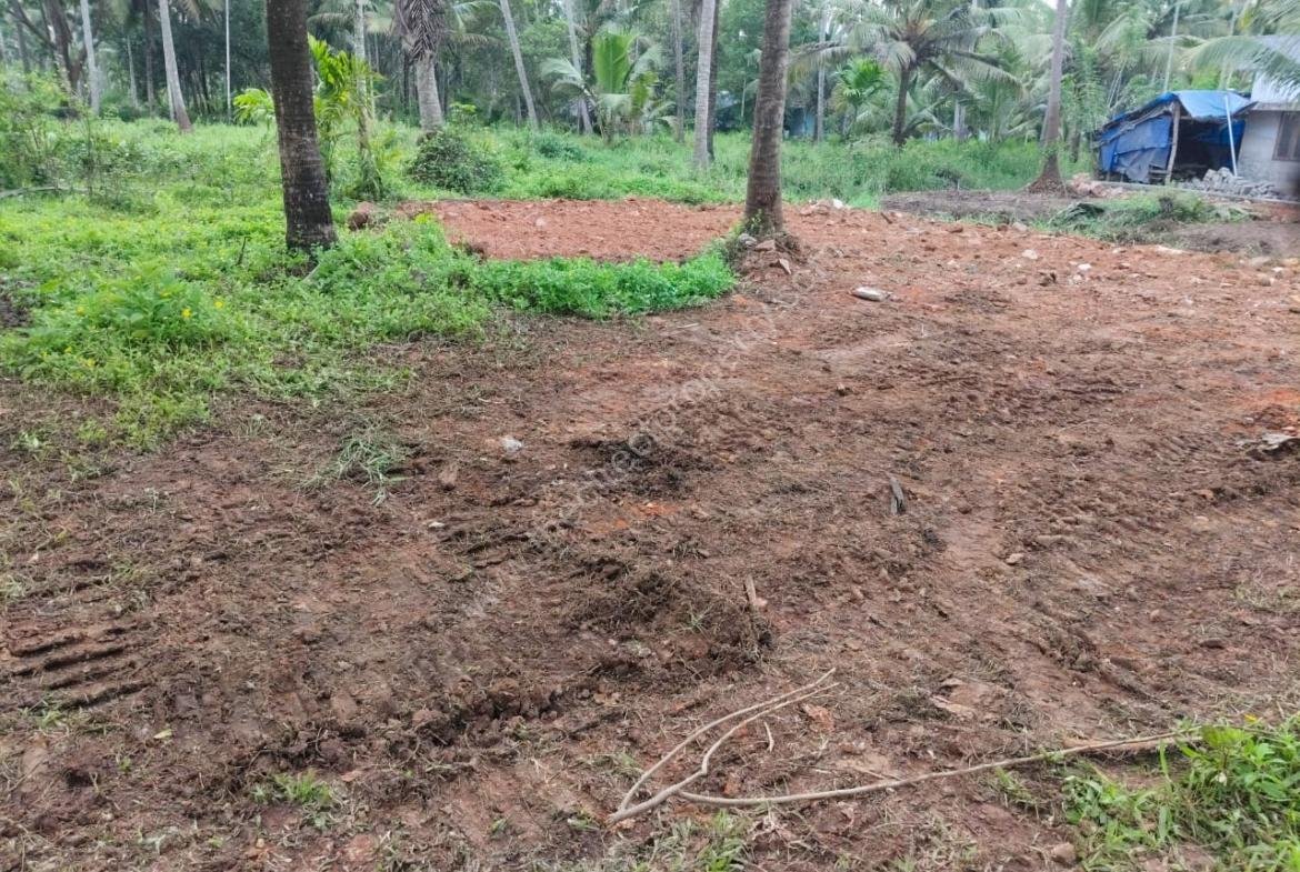 Land for sale in Kakkathuruthu Irinjalakuda