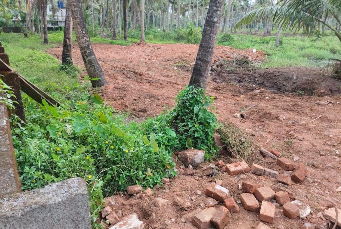 Land for sale in Kakkathuruthu Irinjalakuda