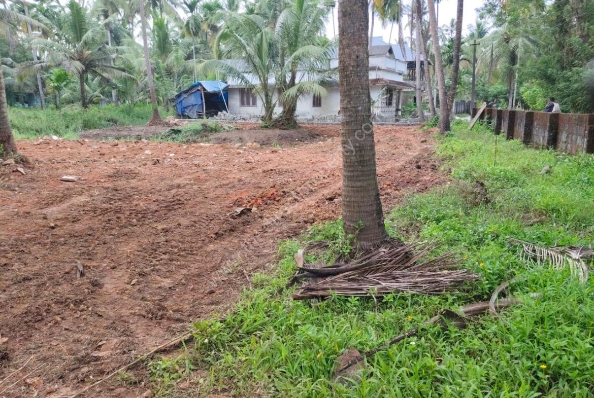 Land for sale in Kakkathuruthu Irinjalakuda