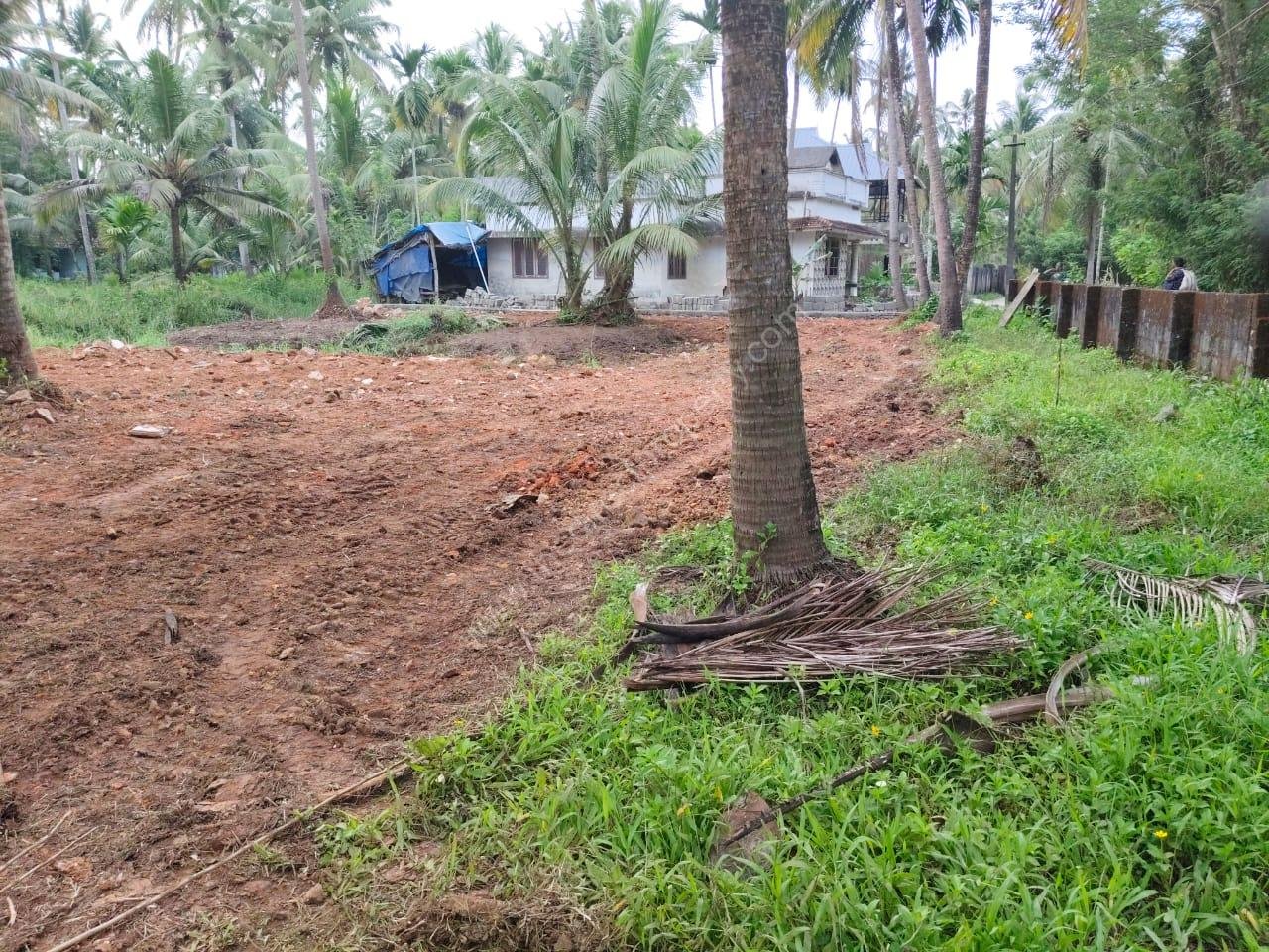 Land for sale in Kakkathuruthu Irinjalakuda