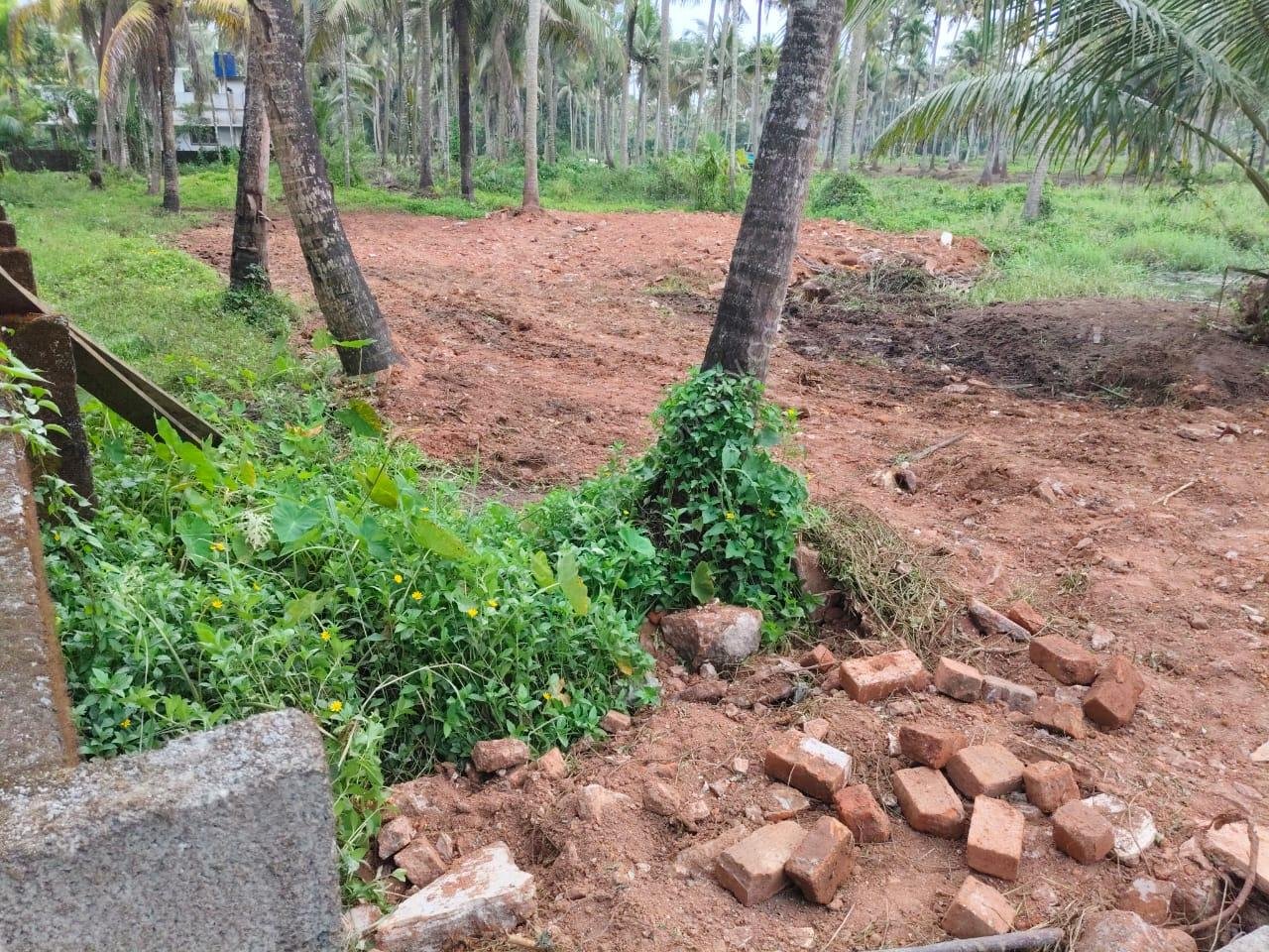 Land for sale in Kakkathuruthu Irinjalakuda