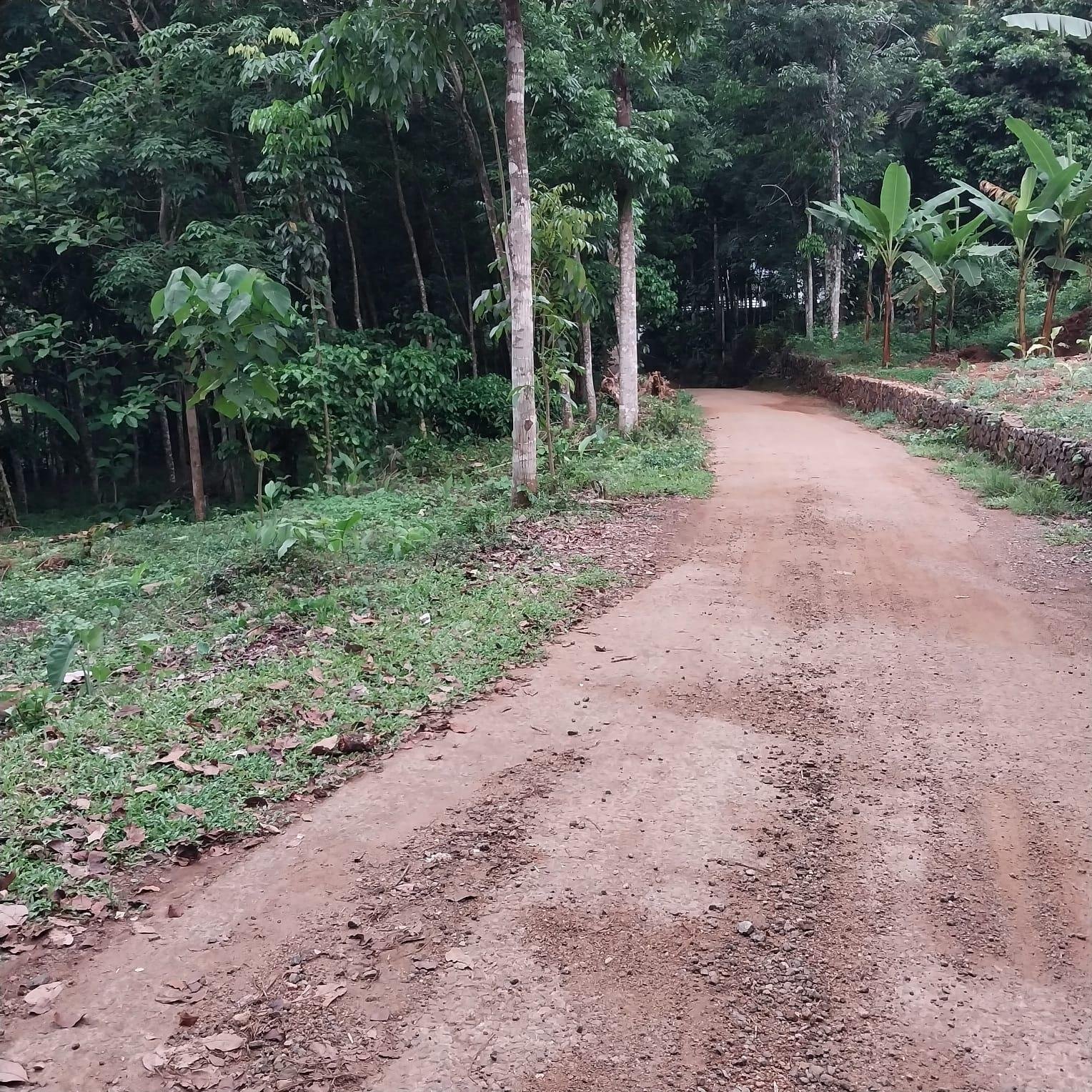 Plot for sale at Karaikattur