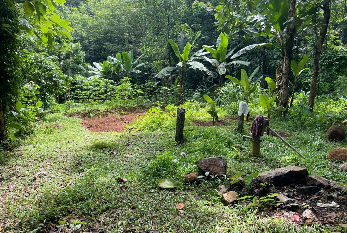 Plot for sale at Karaikattur, Manimala