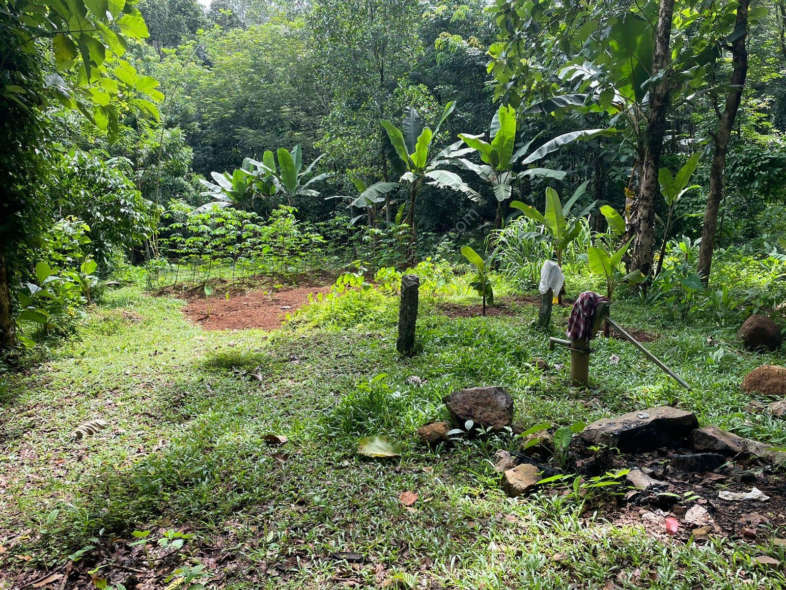 Plot for sale at Karaikattur, Manimala