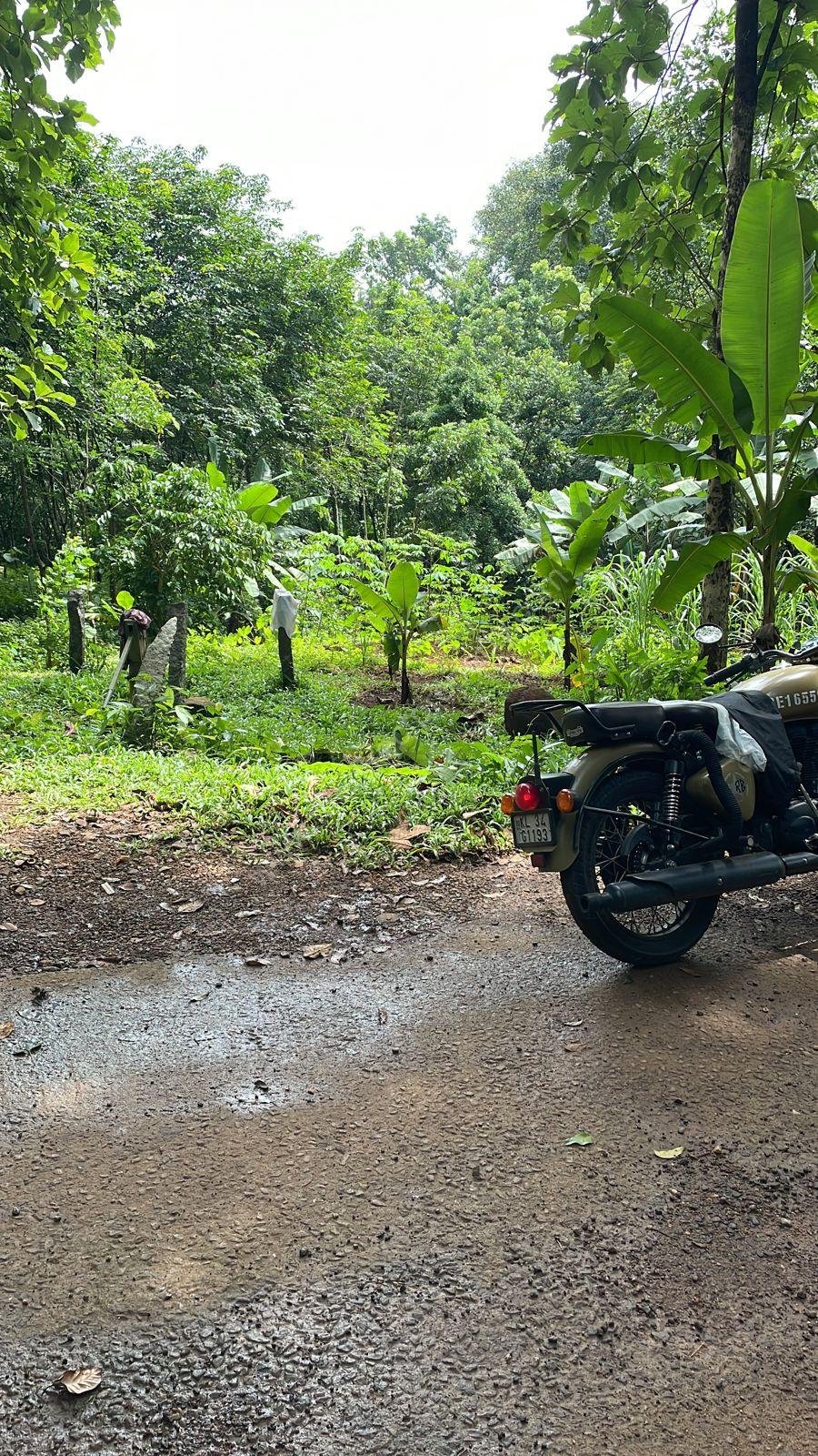 Plot for sale at Karaikattur, Manimala