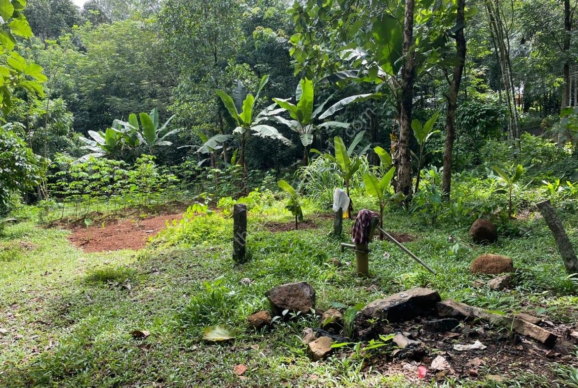 Plot for sale at Karaikattur, Manimala