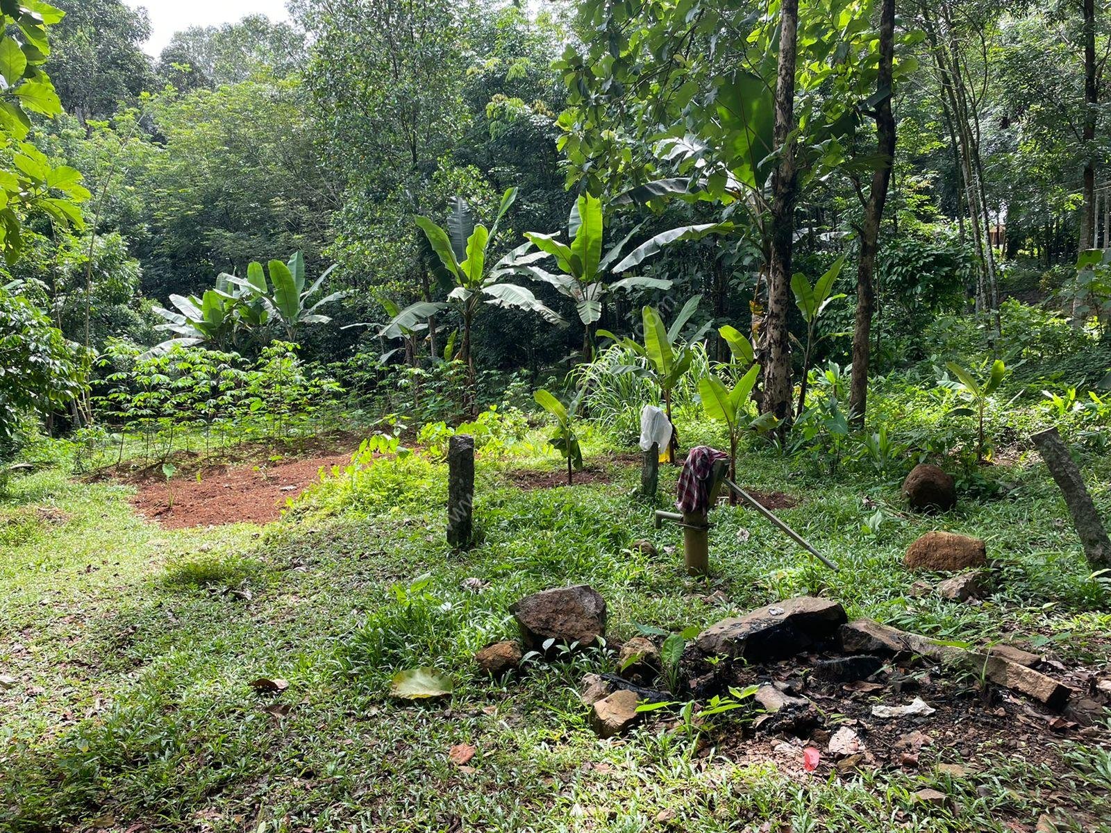 Plot for sale at Karaikattur, Manimala