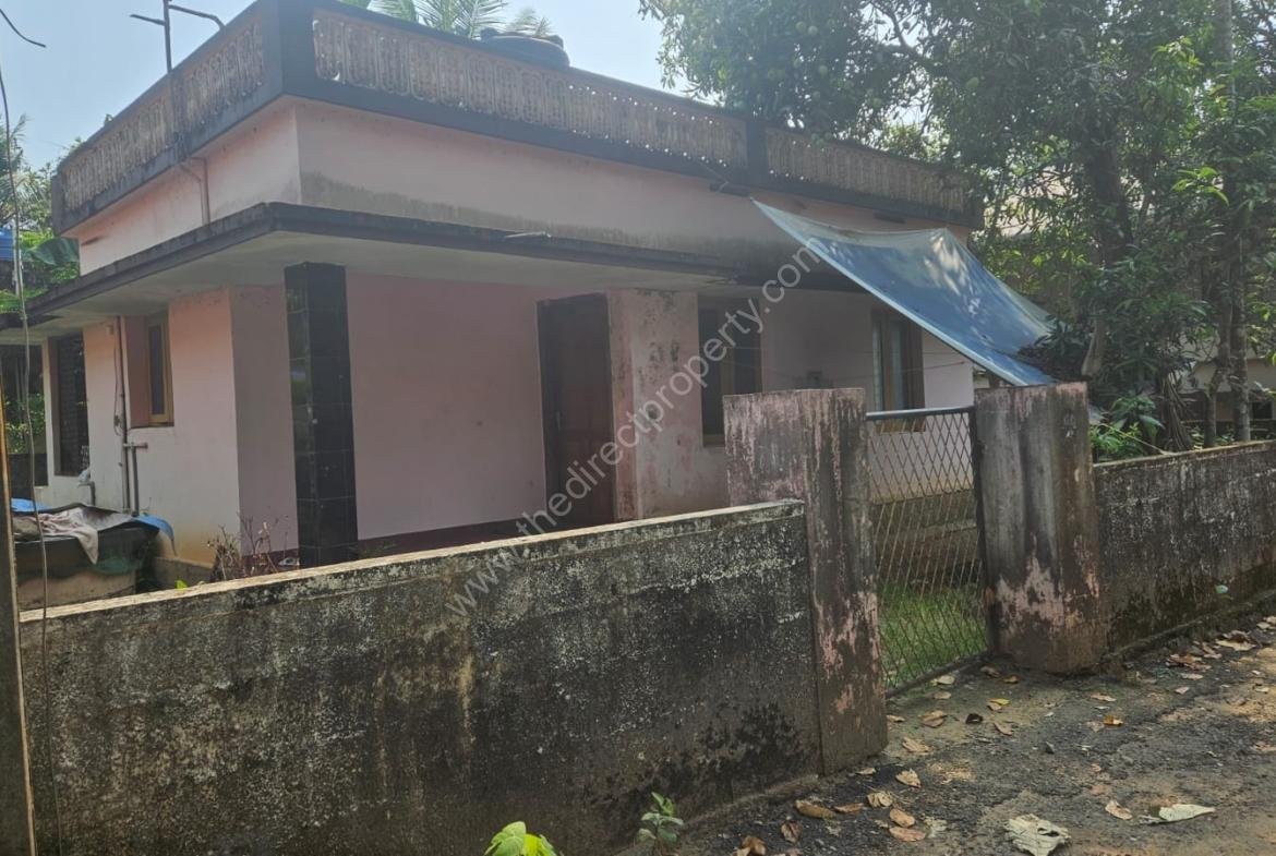 Land with an old house for sale in Thiruvankulam