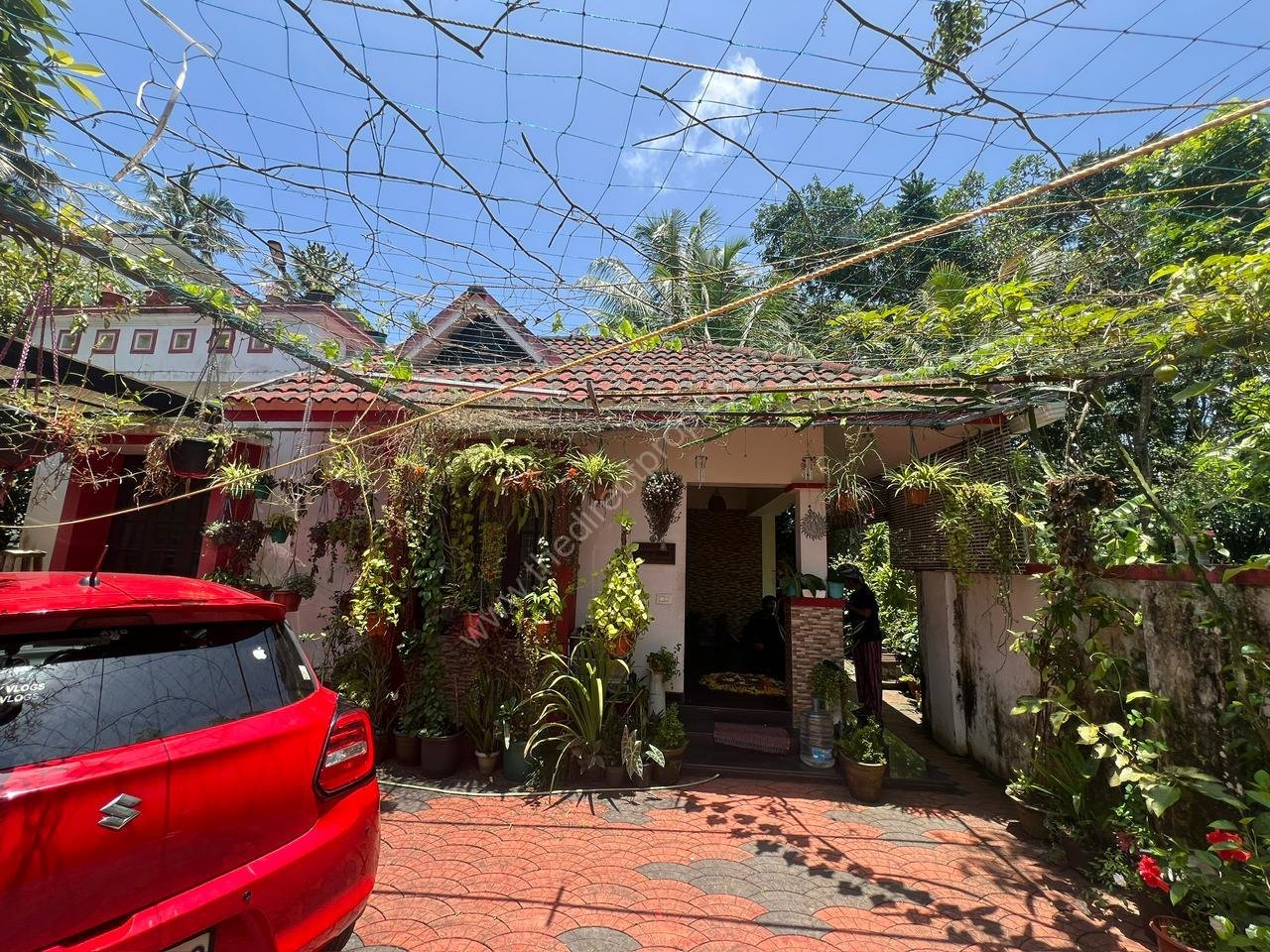 WhatsApp Image 2026-05-14 at 11.20.15 AM (1) 3 bhk in 8 cent land for sale in Roadmukku