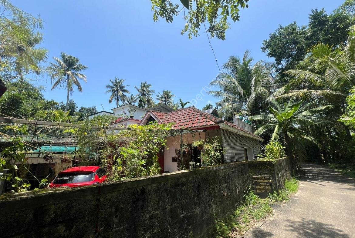 3 bhk in 8 cent land for sale in Roadmukku