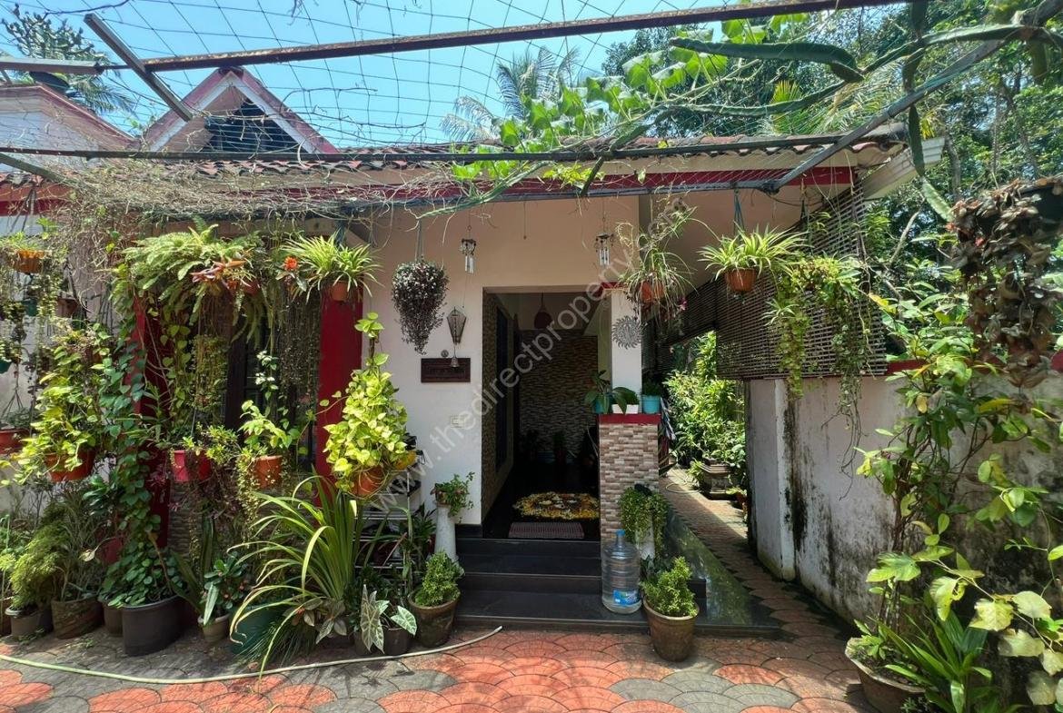 3 bhk in 8 cent land for sale in Roadmukku