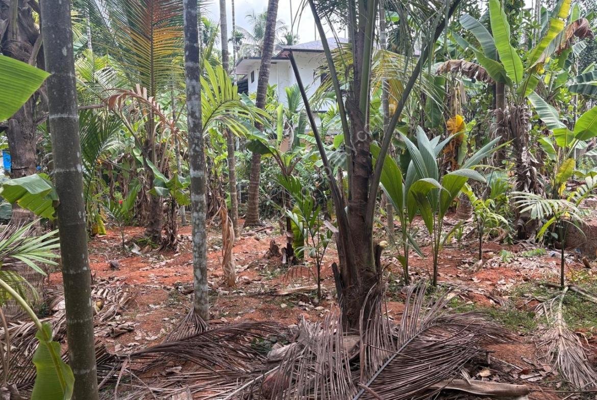 House for sale in Taliparamba Vadakkanchery
