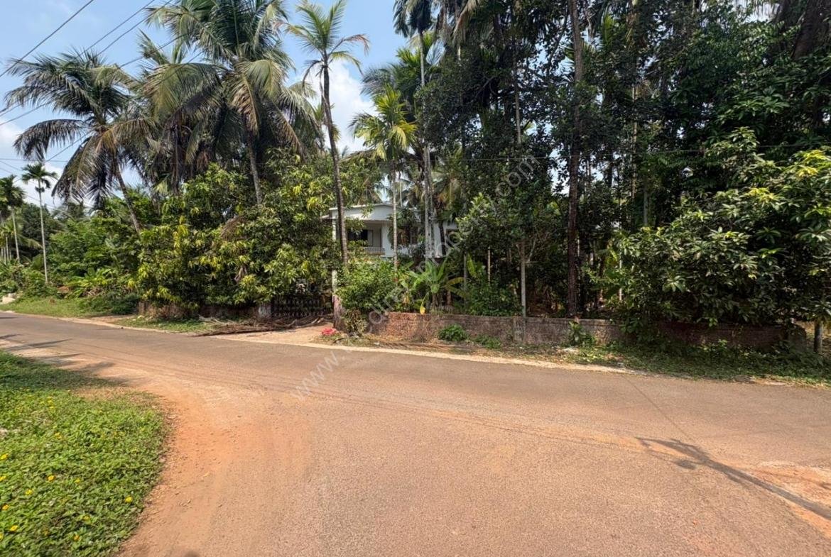 House for sale in Taliparamba Vadakkanchery