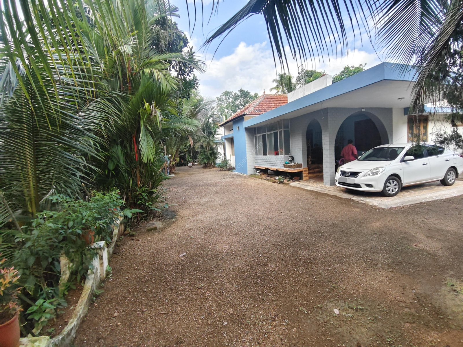 8 Acres with Bungalow in Vazhoor, Kottayam
