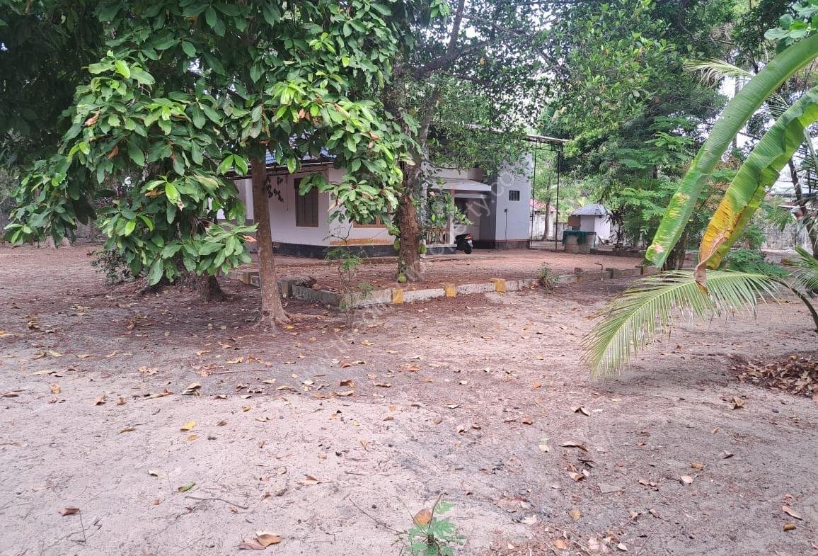 55 cent Land with house for sale in Punnapra, Alappuzha