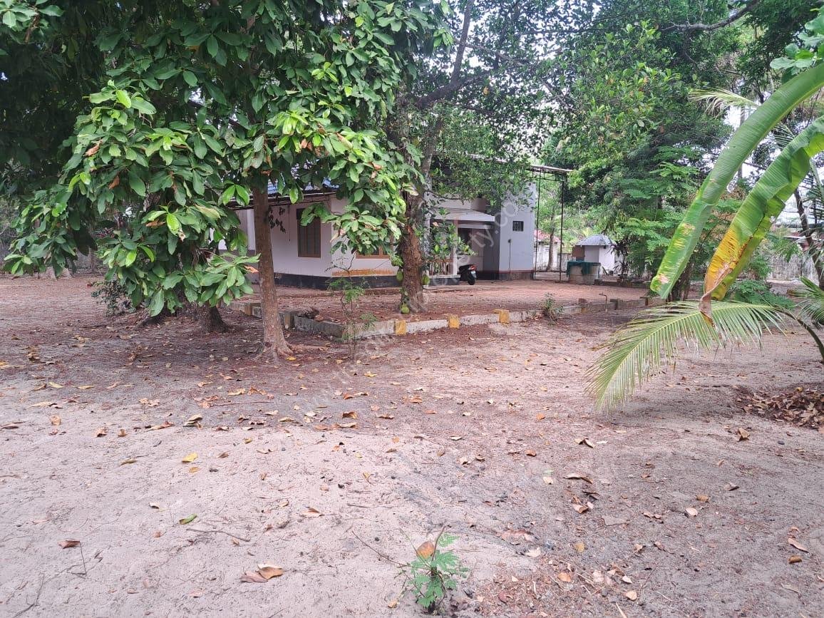 1000400211 55 cent Land with house for sale in Punnapra, Alappuzha
