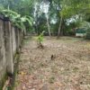 Land for sale in Punnapra