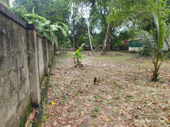 Land for sale in Punnapra
