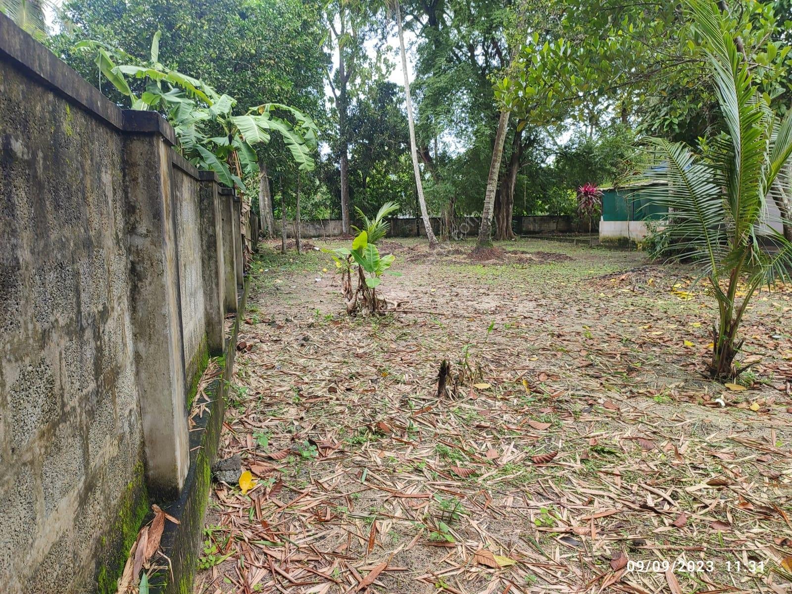 Land for sale in Punnapra