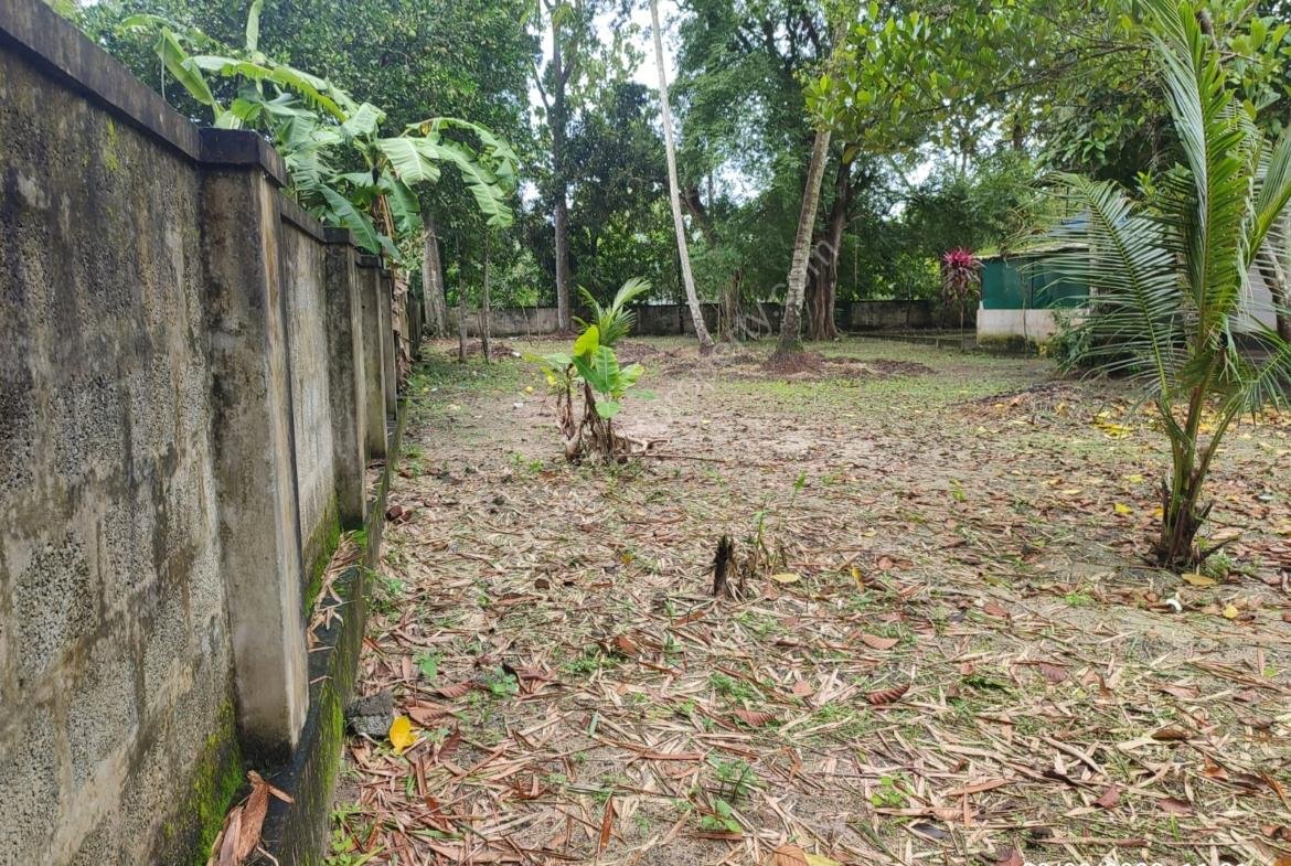 55 cent Land with house for sale [17 cent split] Punnapra, Alapluzha