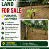 land for sale in Punnapra