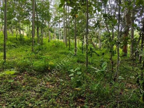 Housing Plot Development/Villa Project Land in Marika