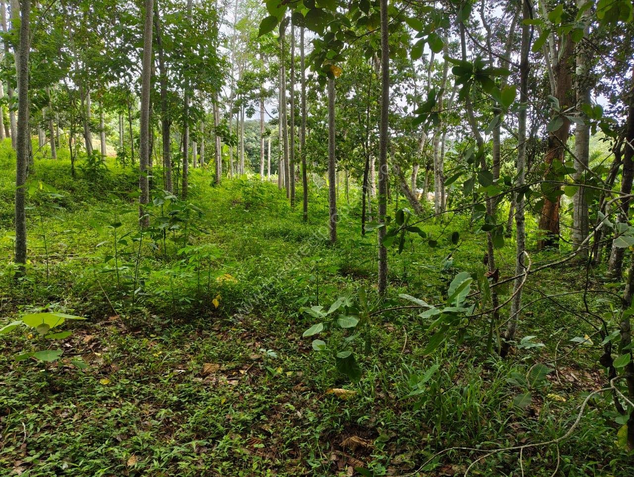 2 Housing Plot Development/Villa Project Land in Marika