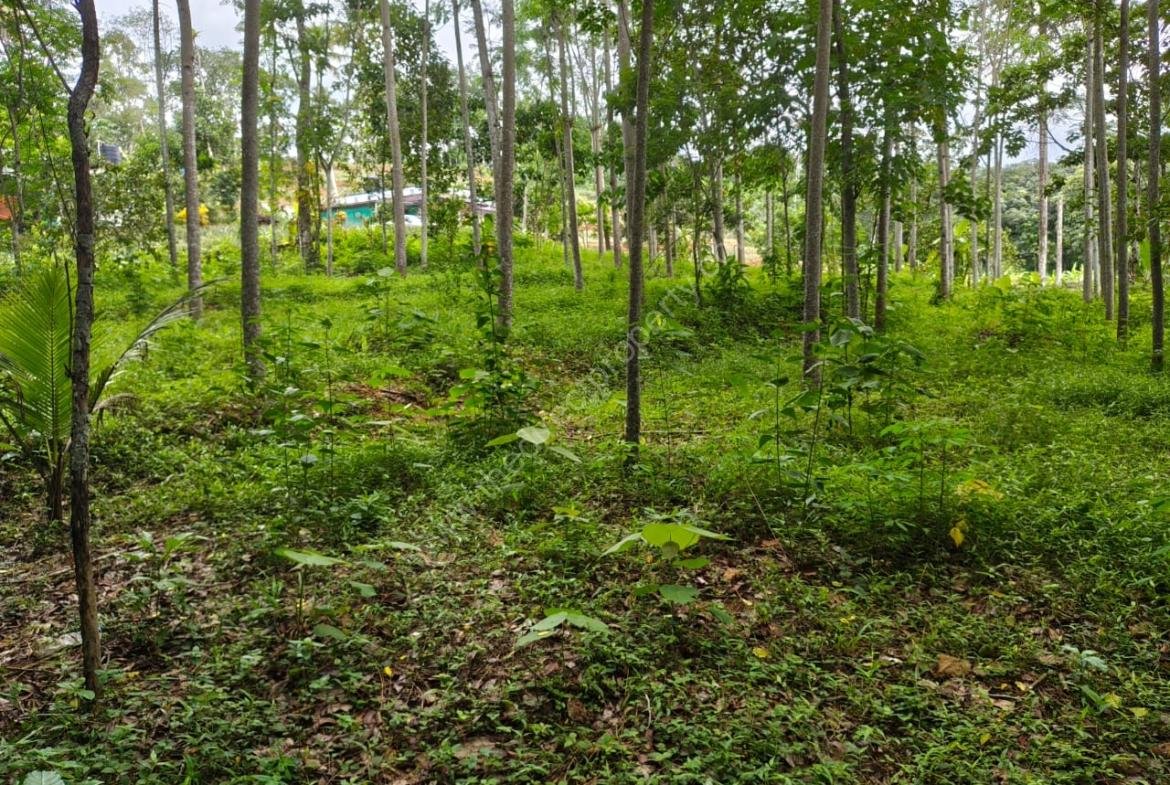 Housing Plot Development/Villa Project Land in Marika