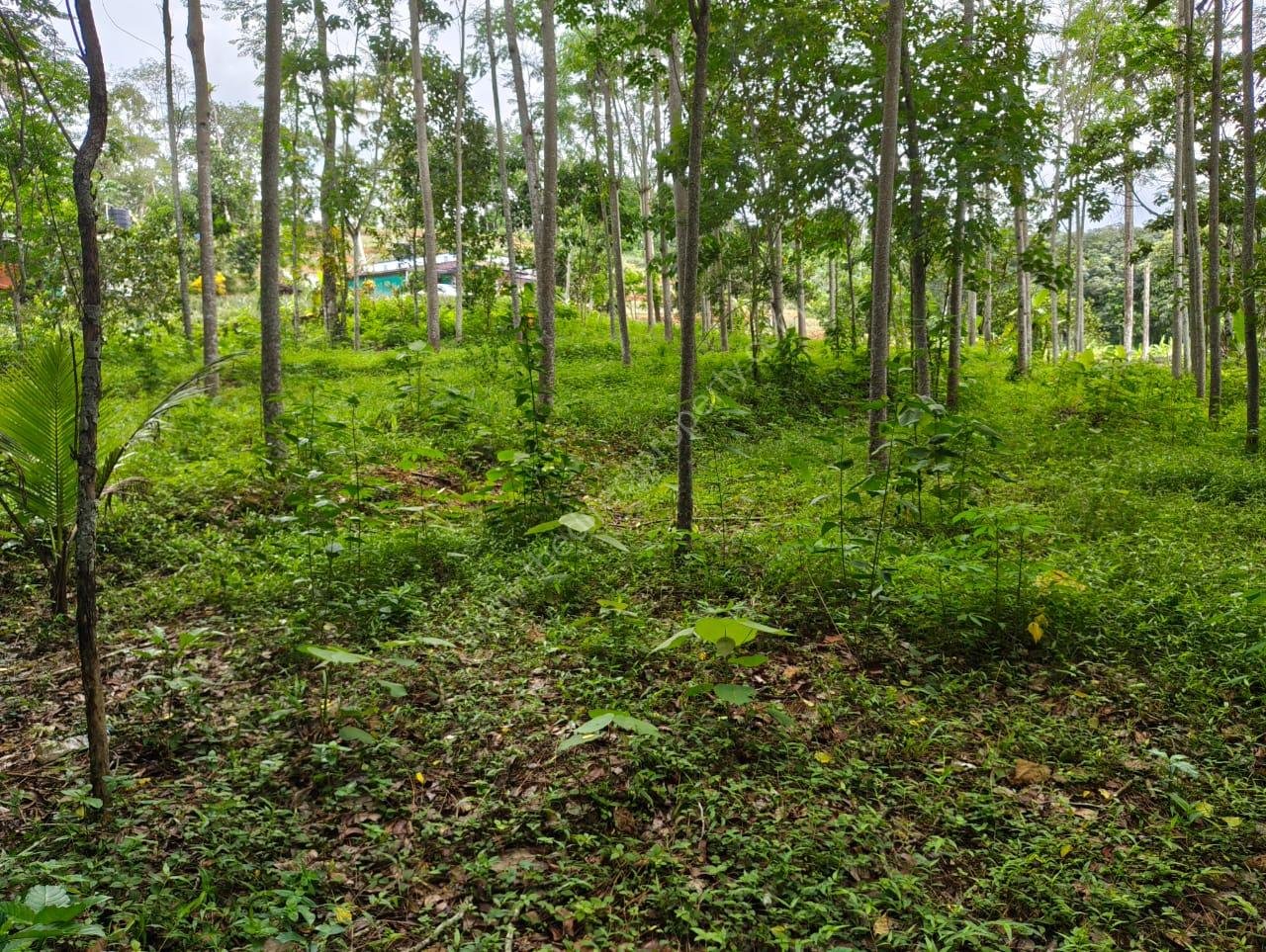 3 Housing Plot Development/Villa Project Land in Marika