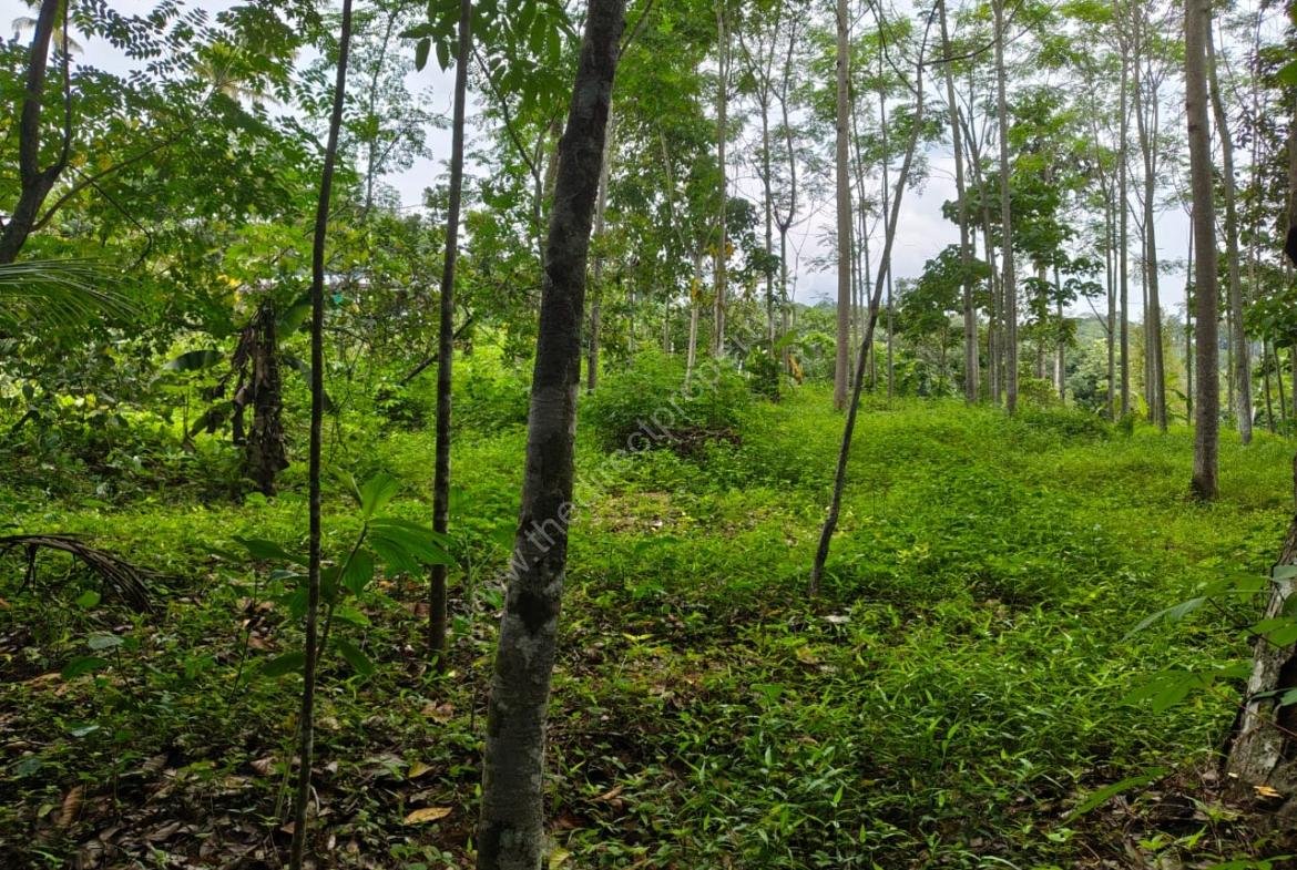 Housing Plot Development/Villa Project Land in Marika