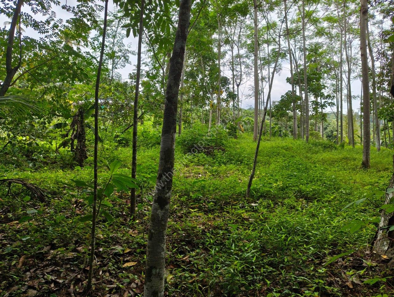 Housing Plot Development/Villa Project Land in Marika