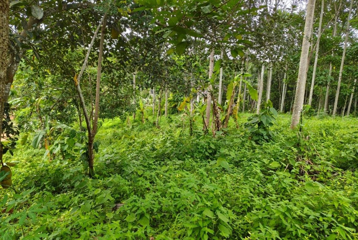 Housing Plot Development/Villa Project Land in Marika