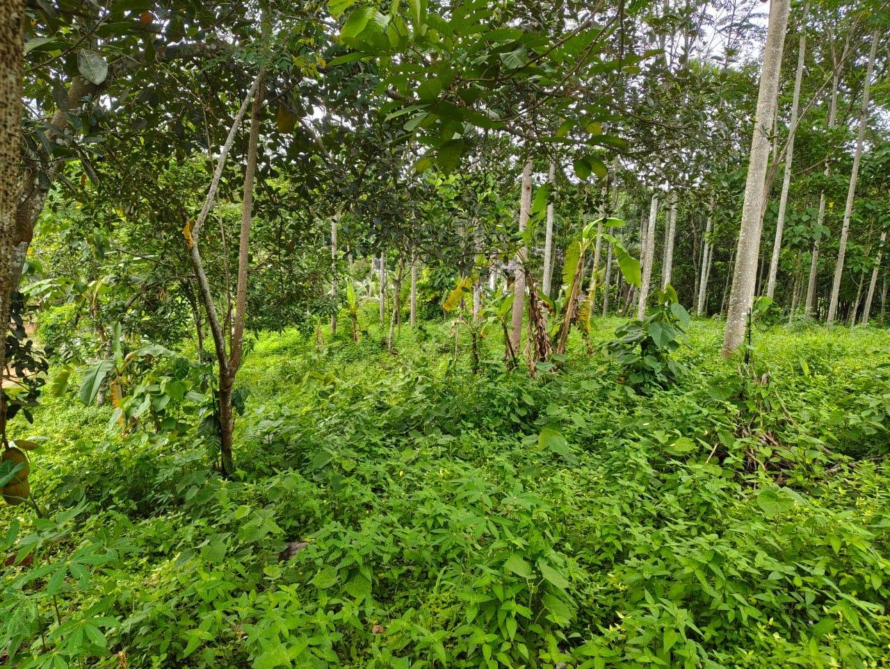 Housing Plot Development/Villa Project Land in Marika