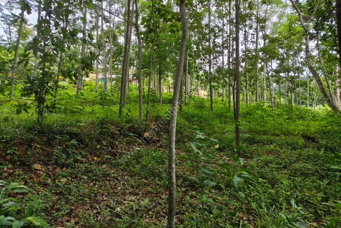 Housing Plot Development/Villa Project Land in Marika