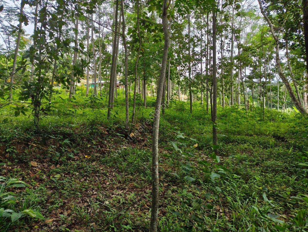 7 Housing Plot Development/Villa Project Land in Marika