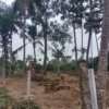 Land for sale in Balaramapuram