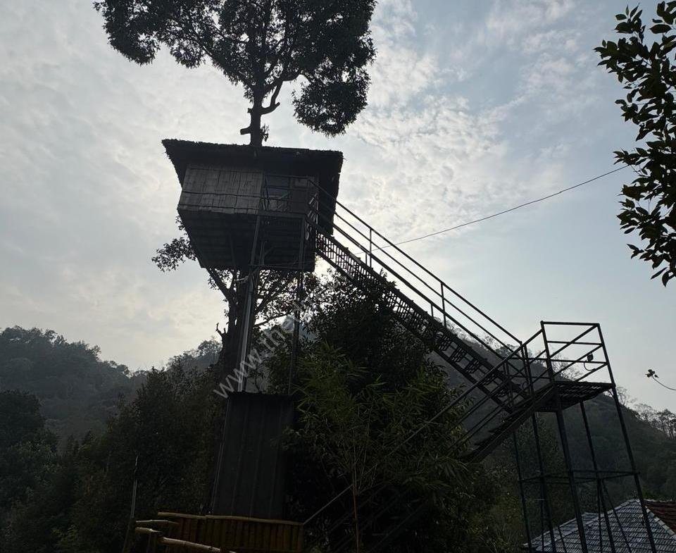 Green Hill Home Stay Munnar | home stay in Munnar