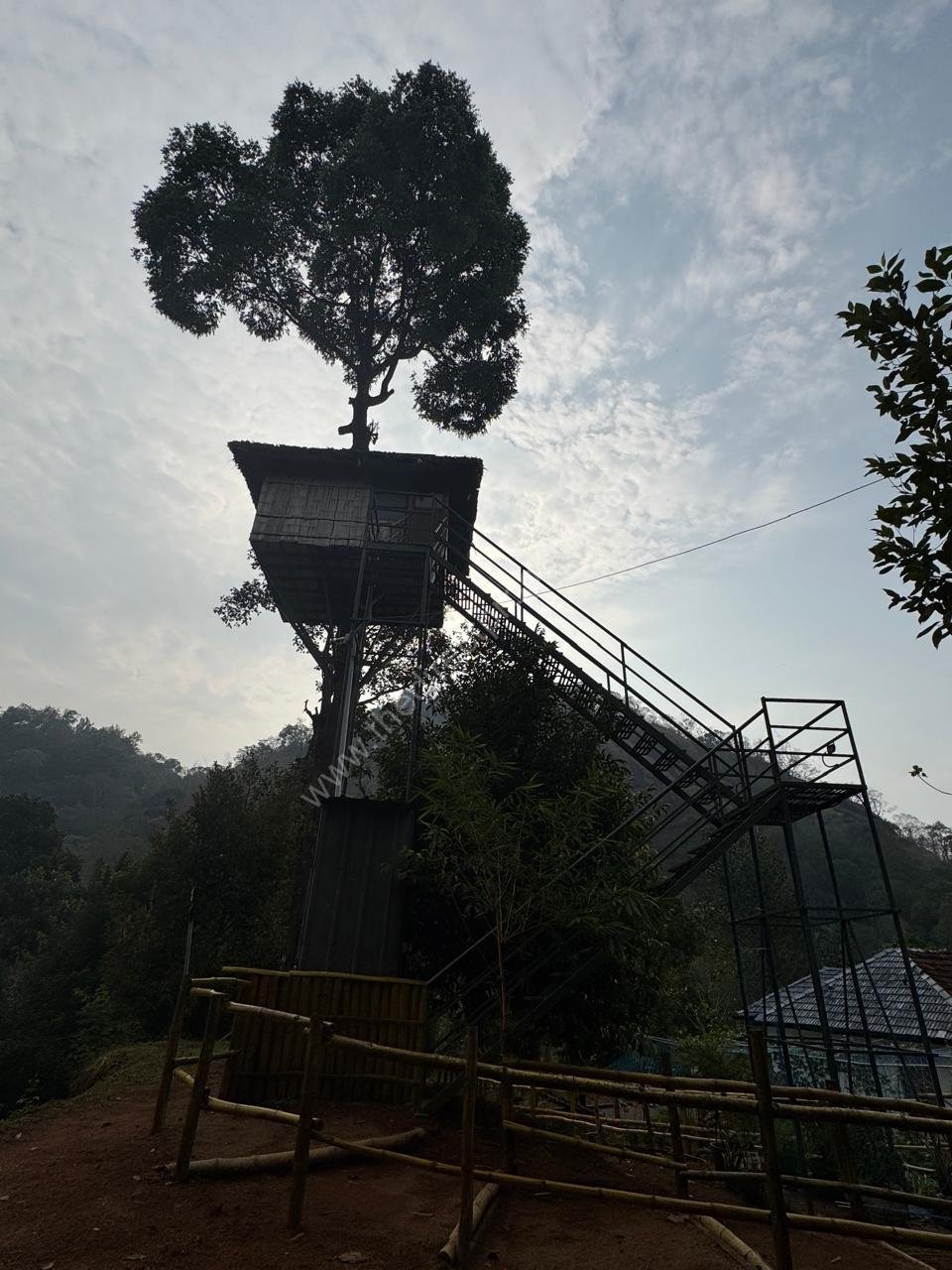 WhatsApp Image 2026-02-24 at 2.21.37 PM Green Hill Home Stay Munnar | home stay in Munnar