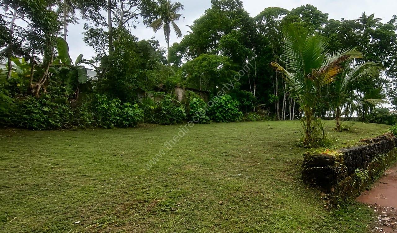 Plot for Sale in Mulanthuruthy