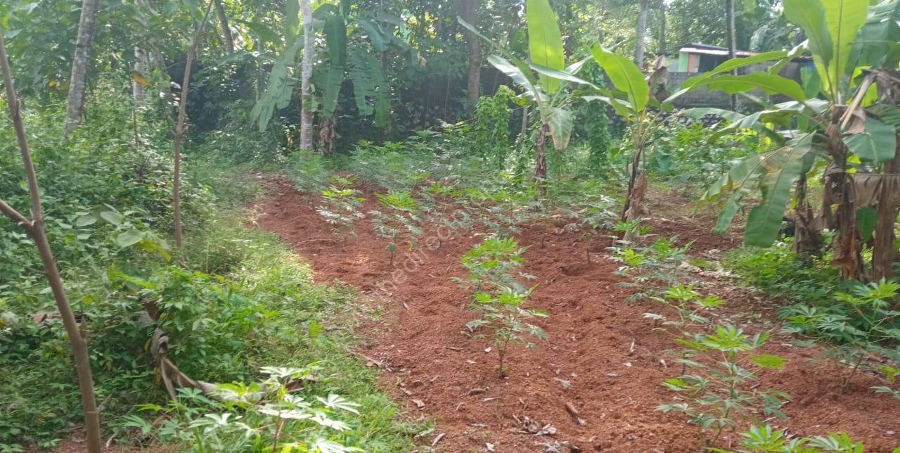 WhatsApp Image 2026-06-09 at 17.24.08 Plot with House for Sale in East Kallada, Kollam
