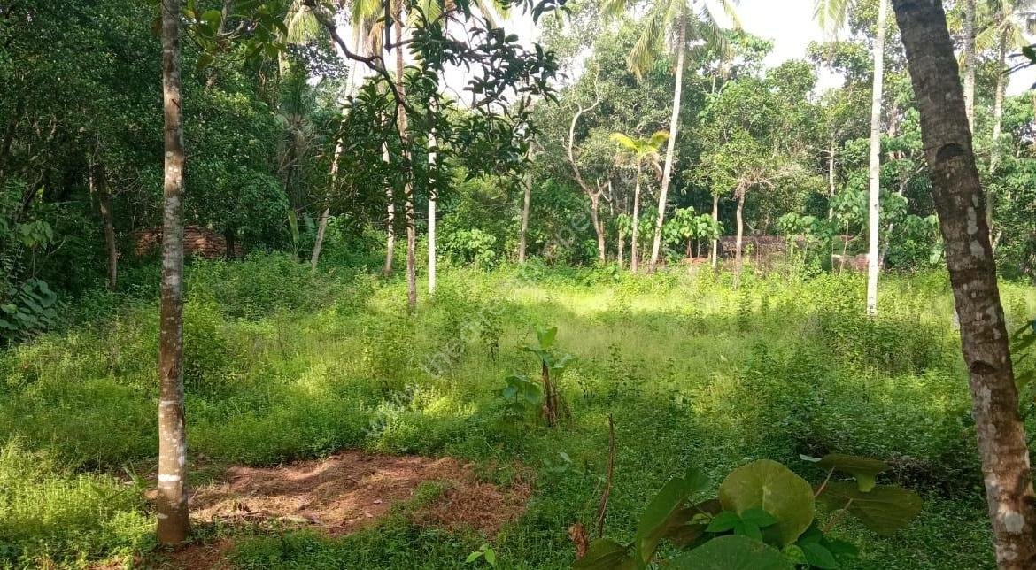 Plot with House for Sale in East Kallada, Kollam