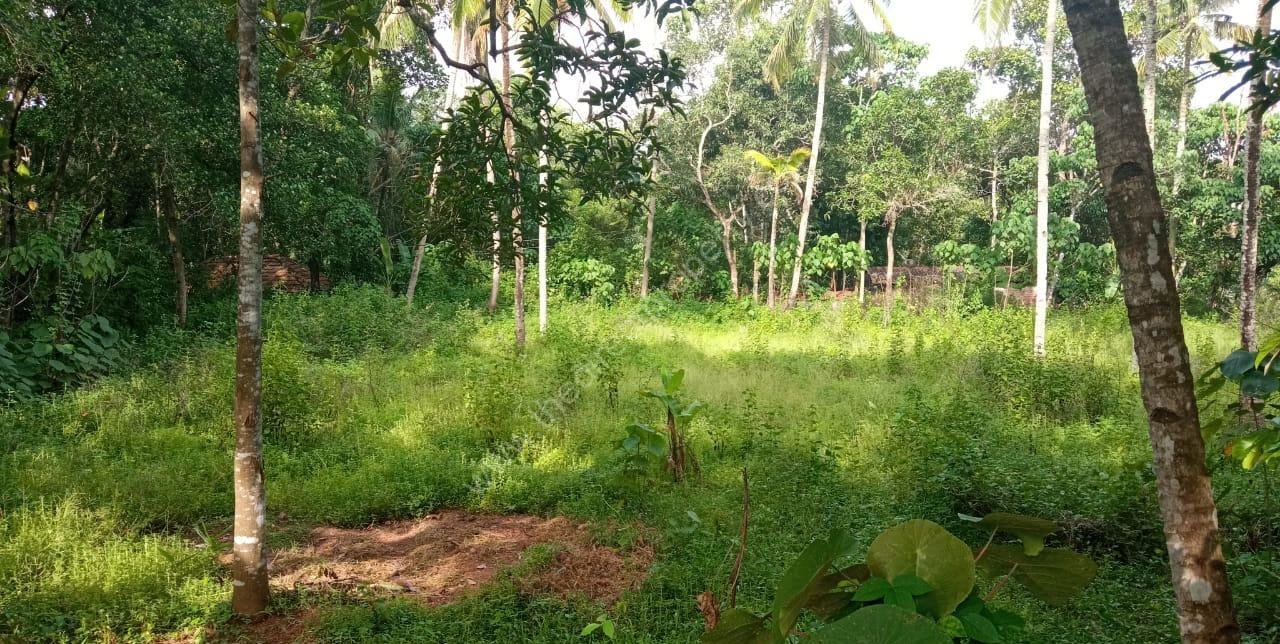 Plot with House for Sale in East Kallada, Kollam