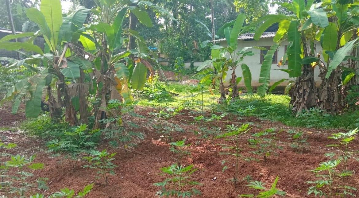 Plot with House for Sale in East Kallada, Kollam