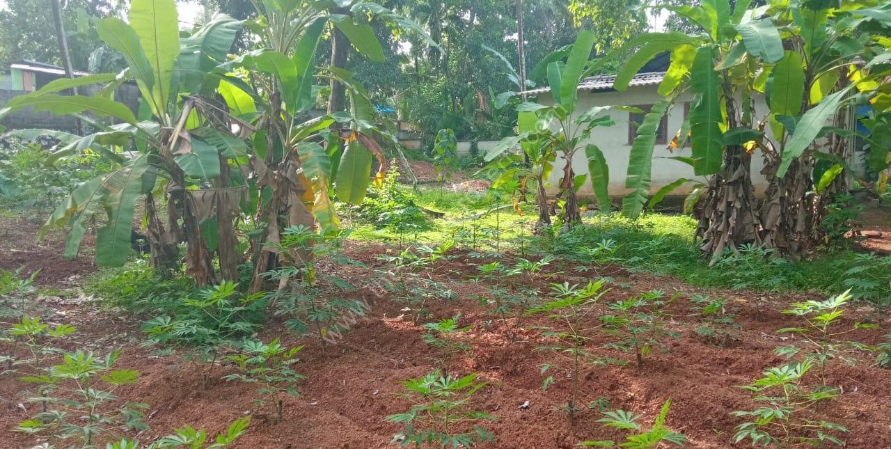 Plot with House for Sale in East Kallada, Kollam