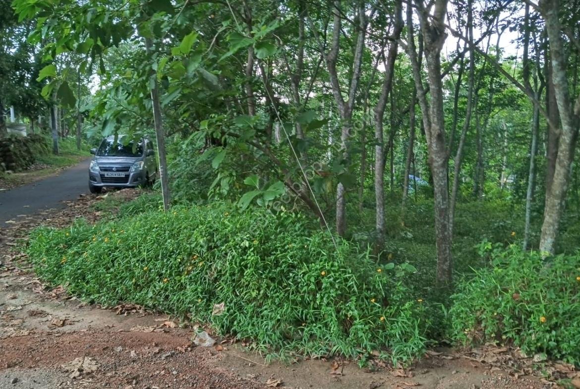House Site for sale in Adoor