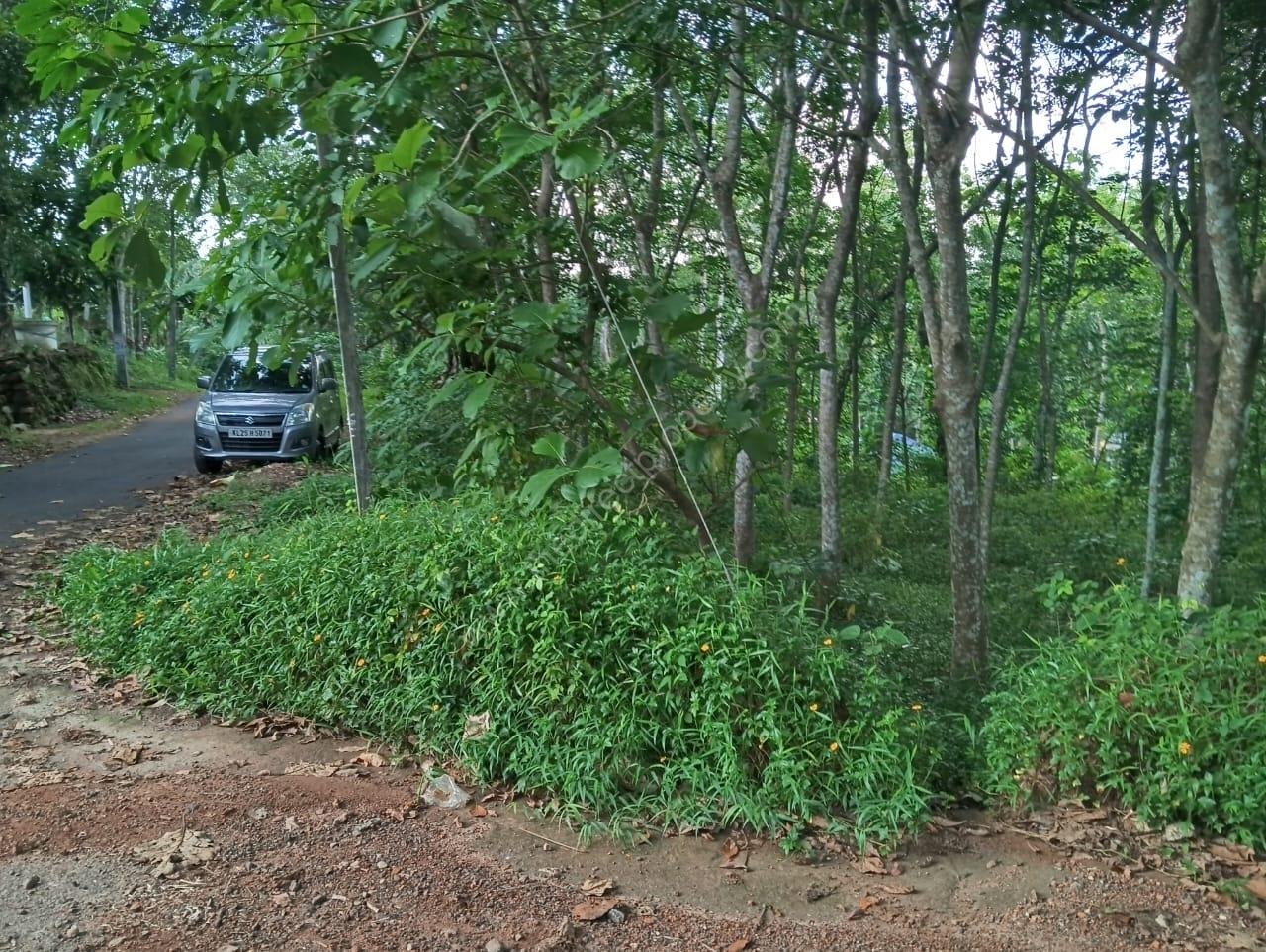 House Site for sale in Adoor