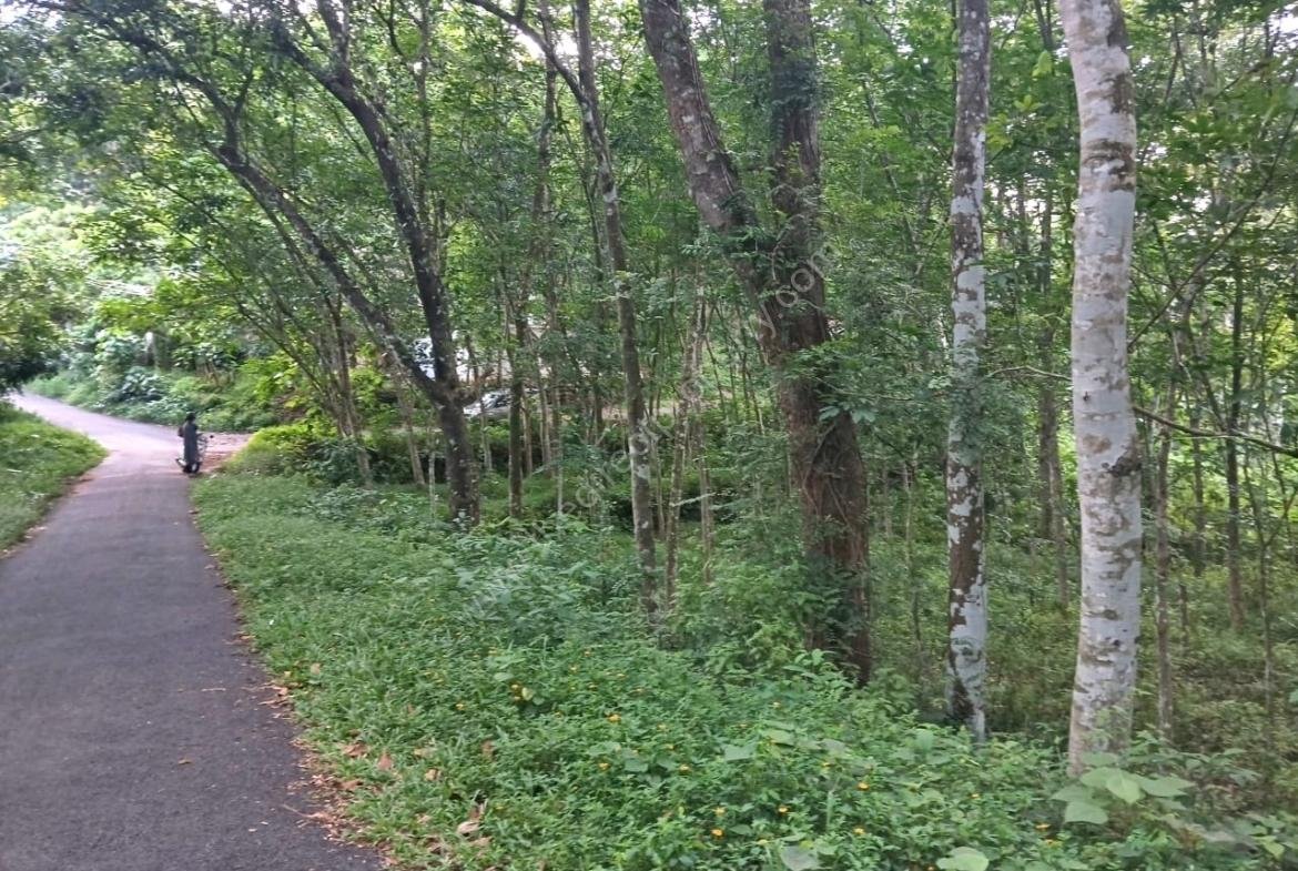 House Site for sale in Adoor
