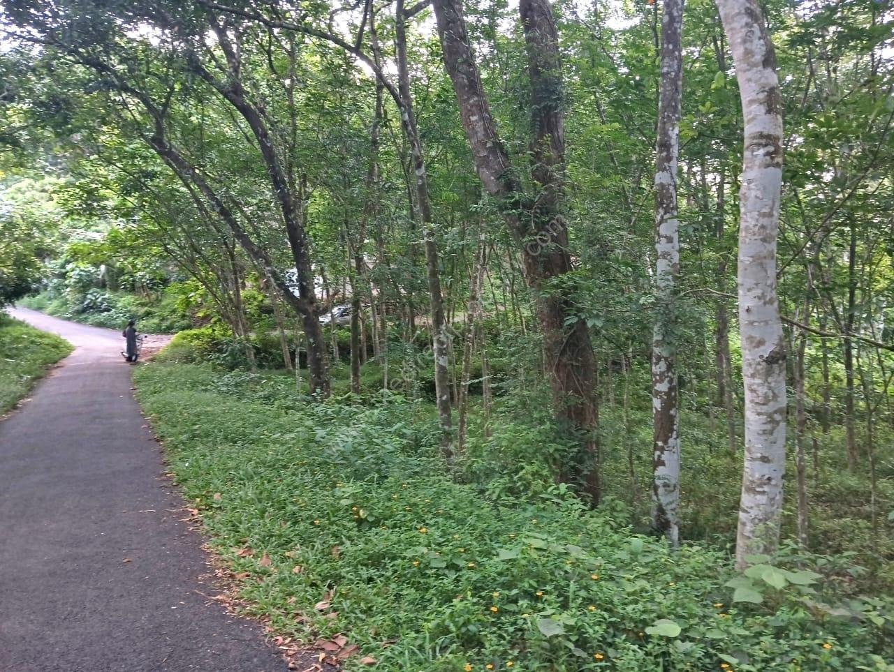 WhatsApp Image 2026-06-20 at 8.54.35 PM House Site for sale in Adoor