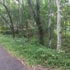 House Site for sale in Adoor