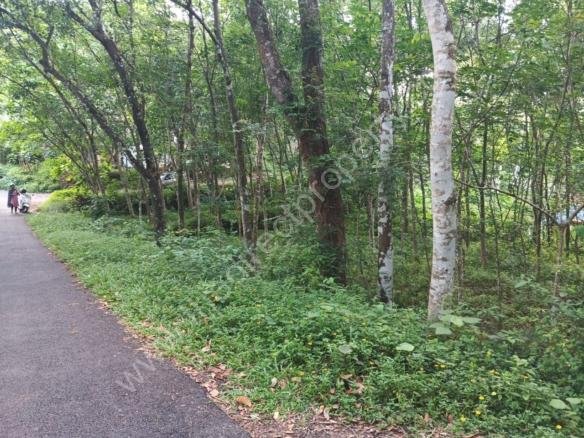 House Site for sale in Adoor